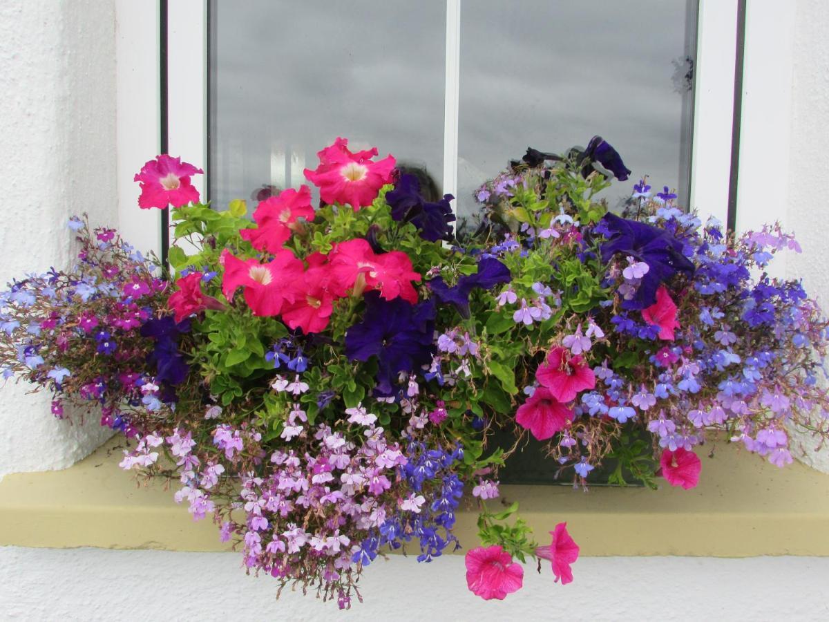 Breacan Cottage B&B Kinvara Exterior photo